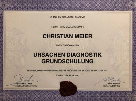 Diplom Ursachen Diagnostik Grundschulung - Christian Meier