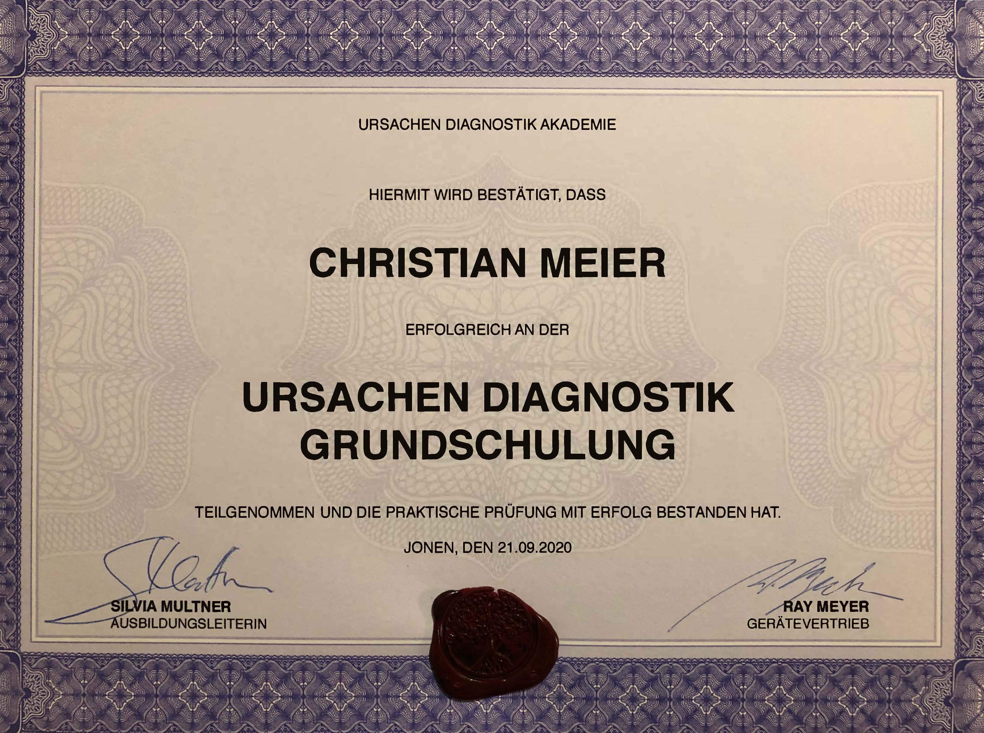 Diplom Ursachen Diagnostik Grundschulung - Christian Meier